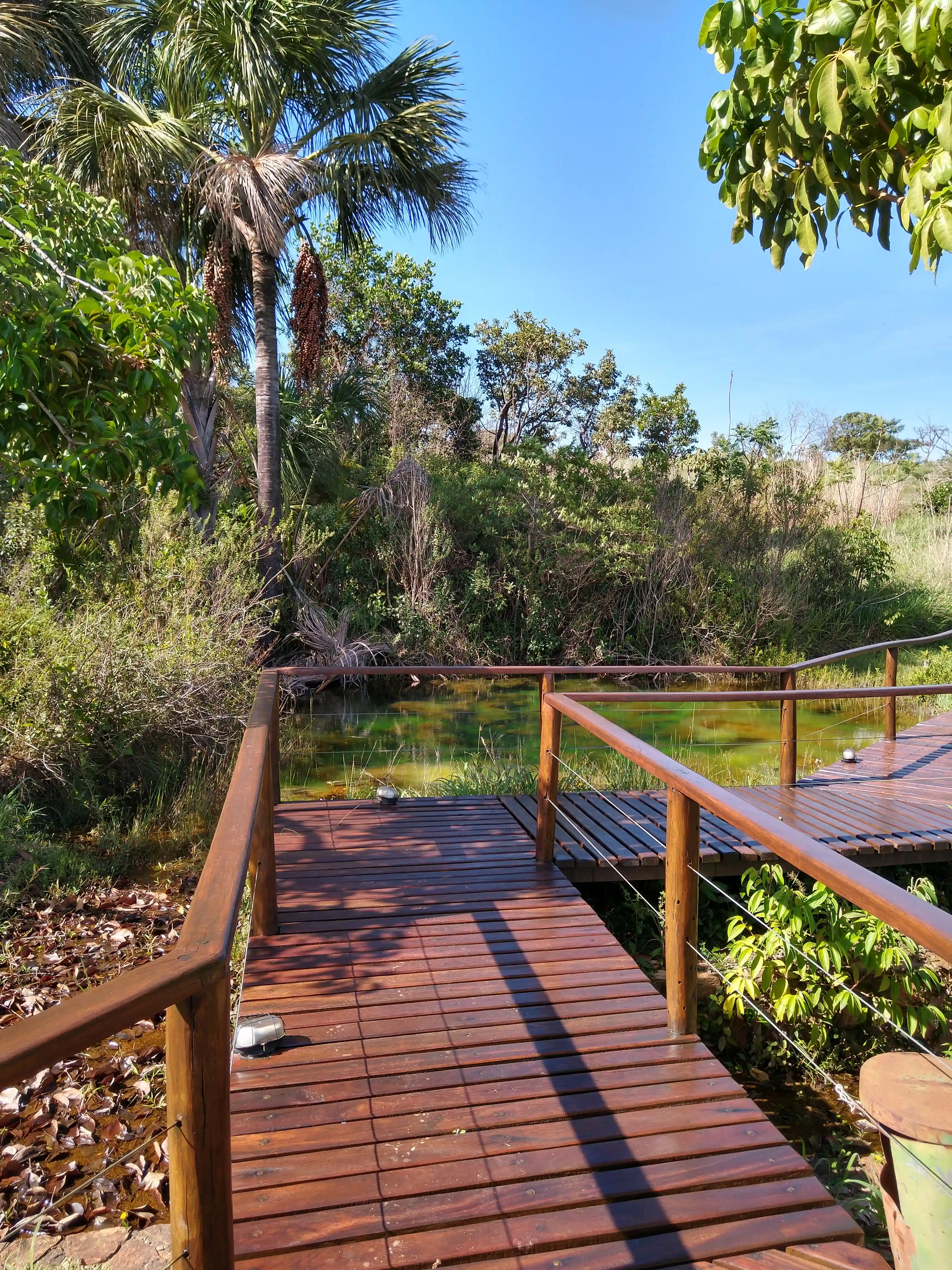 Retiro de Meditação - Imagem 11