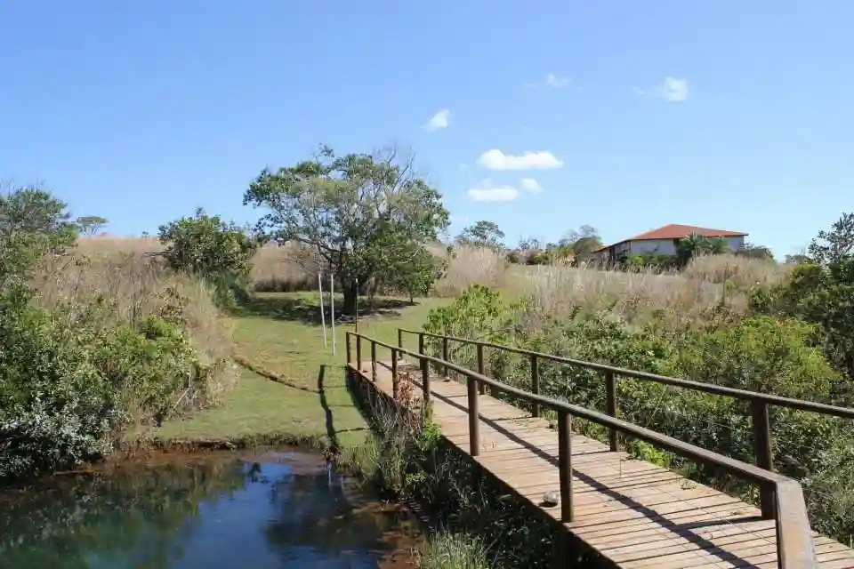 Retiro de Meditação - Imagem 21